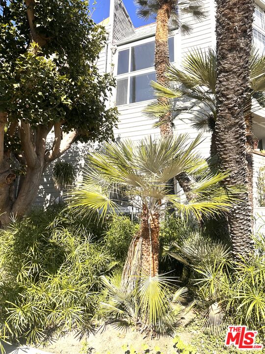 Property photo for 601 Coeur D Alene Ave, #3, Venice, CA